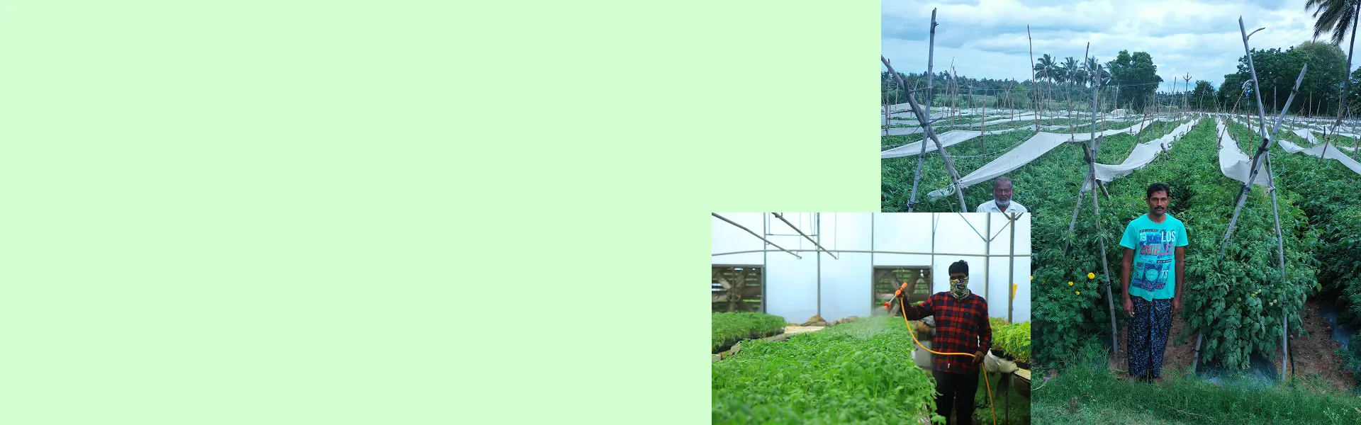 Agriculture